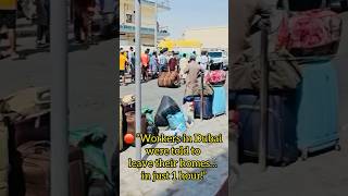Dubai Workers Evicted in 1 Hour 😢 | Shocking Partition Crackdown 2025