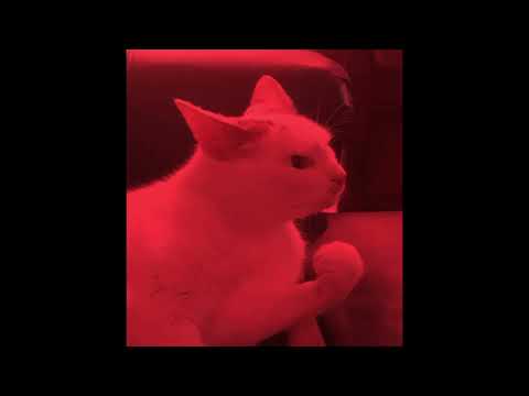 awaaz utha (sped up) - hannan