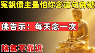 冤親債主最怕你念這句佛號！佛告示：每天念一次，陰氣不靠近#佛光心境#佛陀#佛學#佛教#禪修#佛法智慧#佛教故事#佛教文化