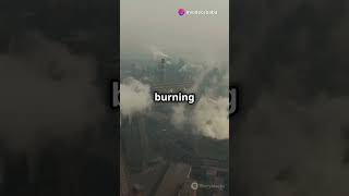What is GRAP  Understanding Delhi's Air