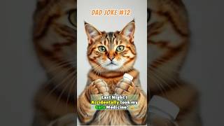 Dad Joke No. 12: Last Night I accidentally took my Cat's Medicine! 🙀 #jokes #dadjokes #funjokes