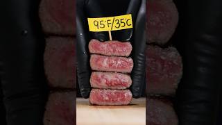 S9 Ep7– Moo Rare A5 wagyu ribeye | 11 Levels of Doneness #wagyu #ribeyesteak #steak #beefsteak