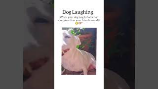 When Your Dog Gets the Joke Better Than You 😂"#dog #doglaughs #funnyanimal