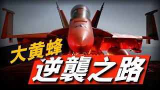 蜂群逆襲，F/A-18 大黃蜂是如何從海軍的備胎進化到如今的主力？#兵器說 #美國海軍 #超級大黃蜂