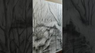 #artshorts #viralart #drawing #graphiteart #graphitedrawing #finearts #graphicart #illustration