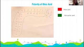 Oleic Acid: Molecules project