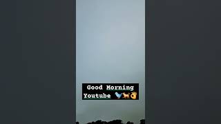 Good Morning!! 🐦👌🐕🌳 #earlystart #dogwalker #northumberland #birdsounds