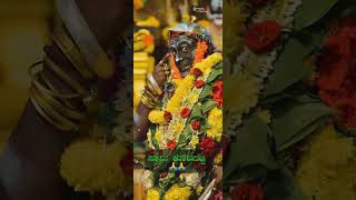#tulunadu #status #ajja #swamikoragajja #video