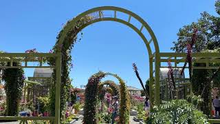 San Diego Flower Fields Tour on April 28, 2021。圣地亚哥花田