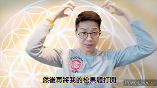 星際導遊：遊歷大角星的奇妙經歷