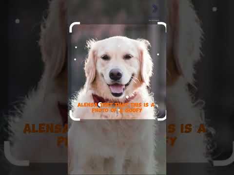 Unleashing the Power of Google Lens in Google Bard: Sissie Hsiao's Mind-Blowing Revelation! #ai