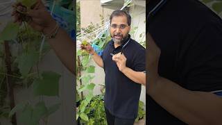 🔥Morphology Most Important Concept Explain By Tarun Sir #shortsfeed #morphology #ytshorts #tarunsir