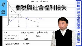 【粵語Cantonese】關稅與社會福利損失 |【現實生活中的經濟學】第十集