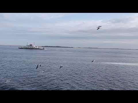 Fort Fisher to Southport Ferry