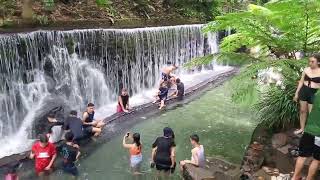 Bato spring 6/21/2025