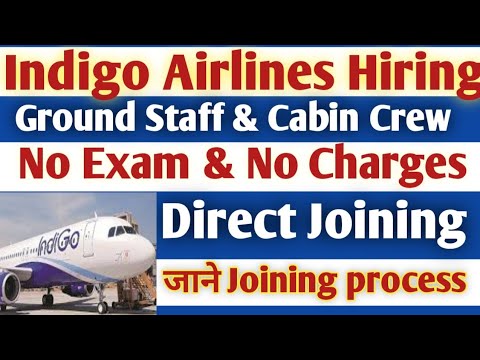 INDIGO AIRLINES Requirements 2024✈️️ | Indigo Hiring No Exam