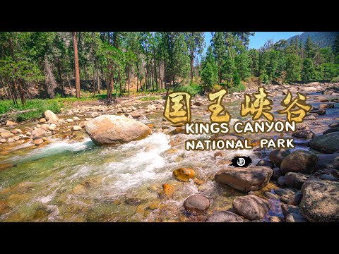 离优胜美地最近的国家公园—自驾国王峡谷国家公园Kings Canyon National Park California Road Trip in USA 4K