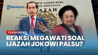 REAKSI MEGAWATI DIBONGKAR Politisi Senior PDIP soal Kasus Ijazah Jokowi, Sang Ketum Akui Keheranan