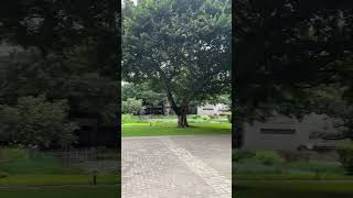 台中 逢甲大學 校園