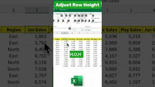 FAST Row Height Change in Seconds!