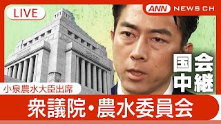 【国会中継ライブ】衆議院 農水委員会  小泉農水大臣、立憲・野田代表、国民・玉木代表、維新・前原共同代表ら出席【LIVE】(2025年5月28日) ANN/テレ朝