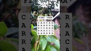 Observation Visual Test: 5 Seconds For You To Spot CARA . Try Your Skills!  #search #puzzle #shorts