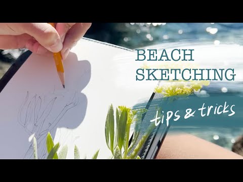 Botanical Illustration - Sketching From Life on the Beach