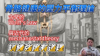 訓練強度有道理，骨骼健康的壓力平衡理論 mechanostat theory