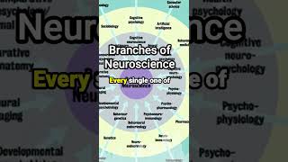 Different Branches of #Neuroscience