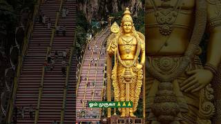 ஓம் முருகா 🙏🙏🙏#ommuruganthunai #ஓம்முருகாபோற்றி #devotional #முருகன்துணை #motivational #முருகாசரணம்