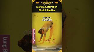 Meridian Activation Stretch Routine #EnergyFlow #DailyPractice #HolisticWellness #EasyWorkout