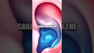 The Astonishing Power of the Human Ear