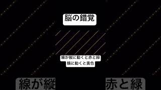 脳の錯覚　#錯覚 #生き方 #メンタル #脳トレ #不思議 #生物 #脳科学 #おもしろ