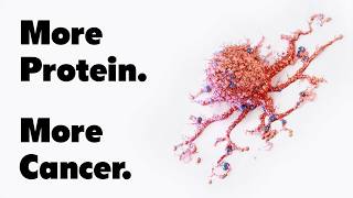 Why High Protein Diets Could Be Dangerous | Dr. Valter Longo