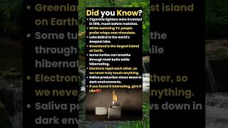 Did you know "cigarette lighters were invented much before matches"?