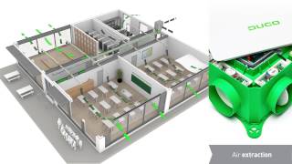 Duco's solutions