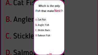 General Knowledge | #shortsfeed #shorts #gkshorts #gk #shortsvideo #animalshorts