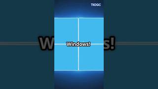 SteamOS: The New Challenger to Windows in Gaming!🚨🔥🔥💥💥🚨 #steamOS #Windows #gaming