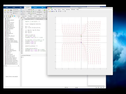 Easy graphical analysis of a system of differential equations using phase diagrams in Matlab/Octave