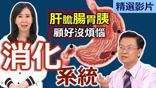 【健康好生活 超精彩回顧】肝膽腸胃要顧好 消化系統沒煩惱 /// 泡菜豆漿鮭魚煮 鮮菇腐乳雞  海鮮燉蓮藕