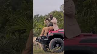POV wildlife adventure# funny# lions# comedy