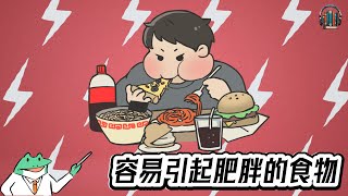 "尽量避免这些食物，健康更重要！"🌟【12分钟讲解《容易引起肥胖的食物》】