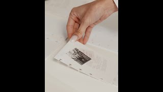 Behind the Scenes Dashboard