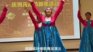 翩翩枫叶情歌舞团欢庆元宵节演出。