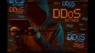 WAITERCINTA DDOS