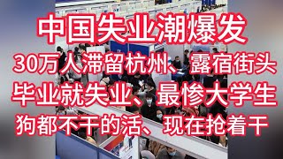 中国经济已经处在危机之中，失业潮爆发。30万人滞留在杭州。大学生毕业就失业，985研究生月薪3000。美女坦言找工作比找老公都难。以前狗都不干的工作，现在抢着干。