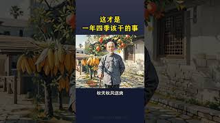 這才是一年四季該幹的事#老祖宗的智慧 #養生知識 #養生之道