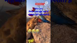 #youtubeshorts #yt #youtube #youtubeshortvideo #viral