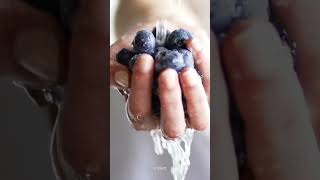 藍莓的神奇功效 #功效 #fruit#蓝莓 #科普 #知識 #知識科普 #知識分享 #中醫
