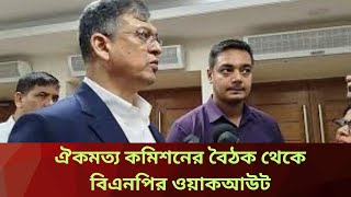 ঐকমত্য কমিশনের বৈঠক থেকে বিএনপির ওয়াকআউটের কারণ জানালেন সালাহউদ্দিন | BIM NEWS